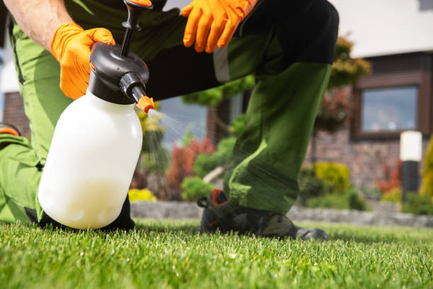 Best Affordable Pest Control Services  in Heath, TX