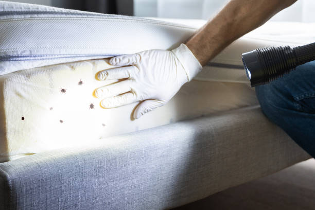 Best Affordable Pest Control Services  in Heath, TX