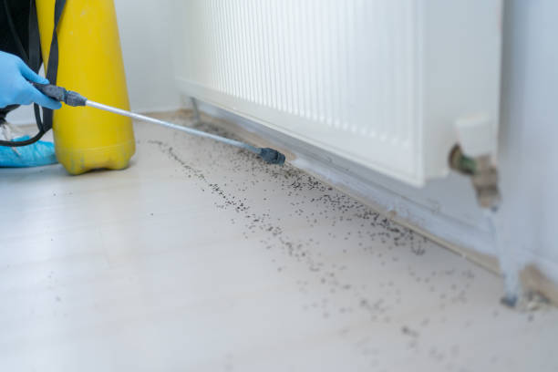 Professional Pest Control in Heath, TX